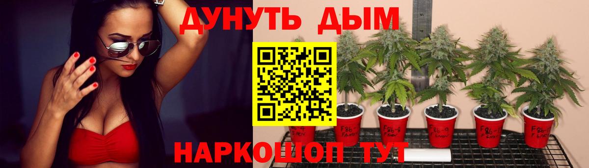 МАРИХУАНА AK-47  Шишки марихуана тримм  Вход с VPN  Тосно  Каннабис индика  МАРИХУАНА Bruce Banner 
